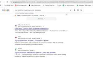 AI Overview in search